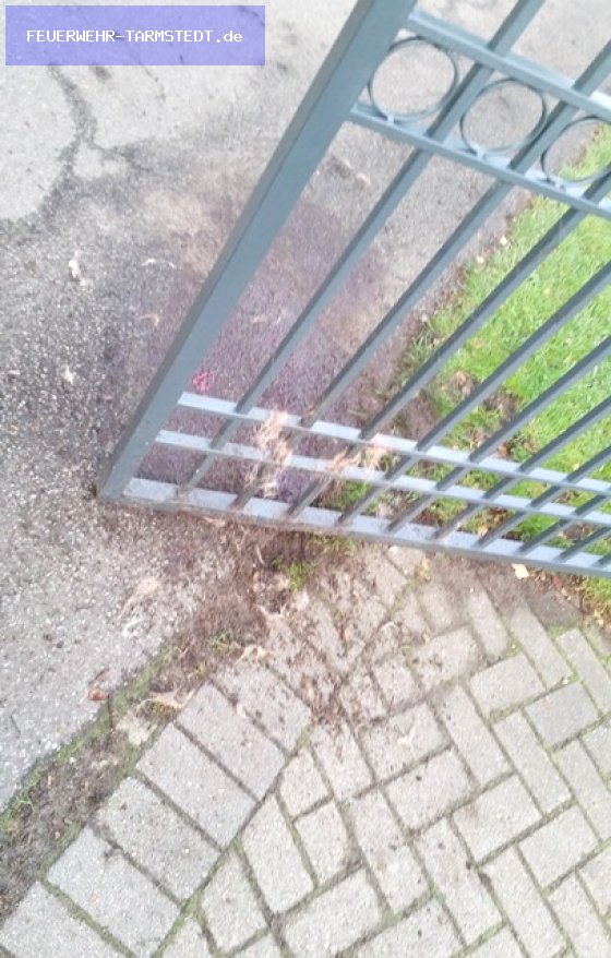 TH1 - Tierrettung