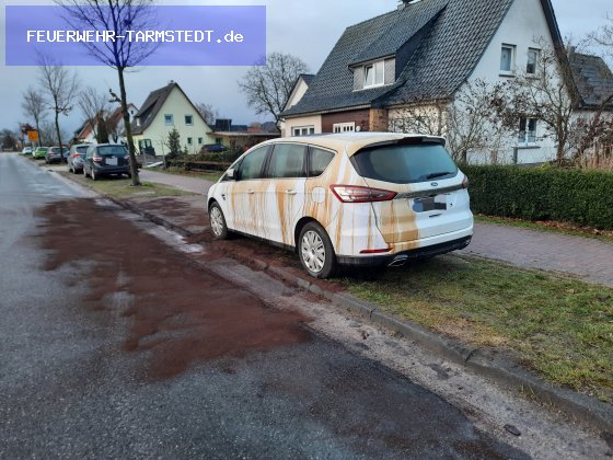 THS - Straßenverunreinigung