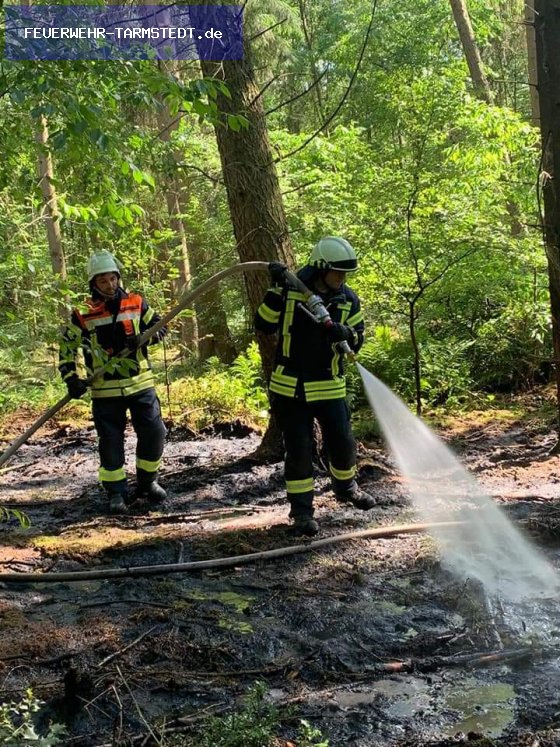 FW1 - brennt Unterholz