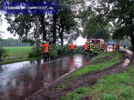 UNW, Baum auf Straße