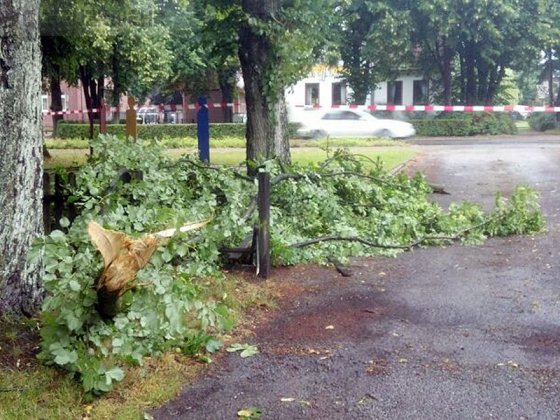 UNW, Äste drohen auf Gehweg zu fallen
